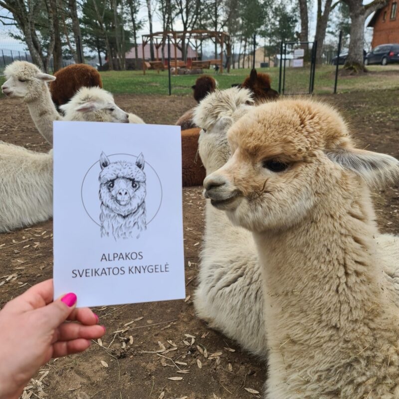 20230415_103443-scaled