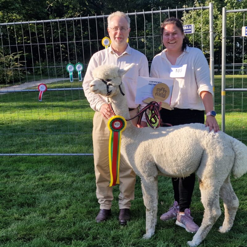 20240921_1648060-scaled