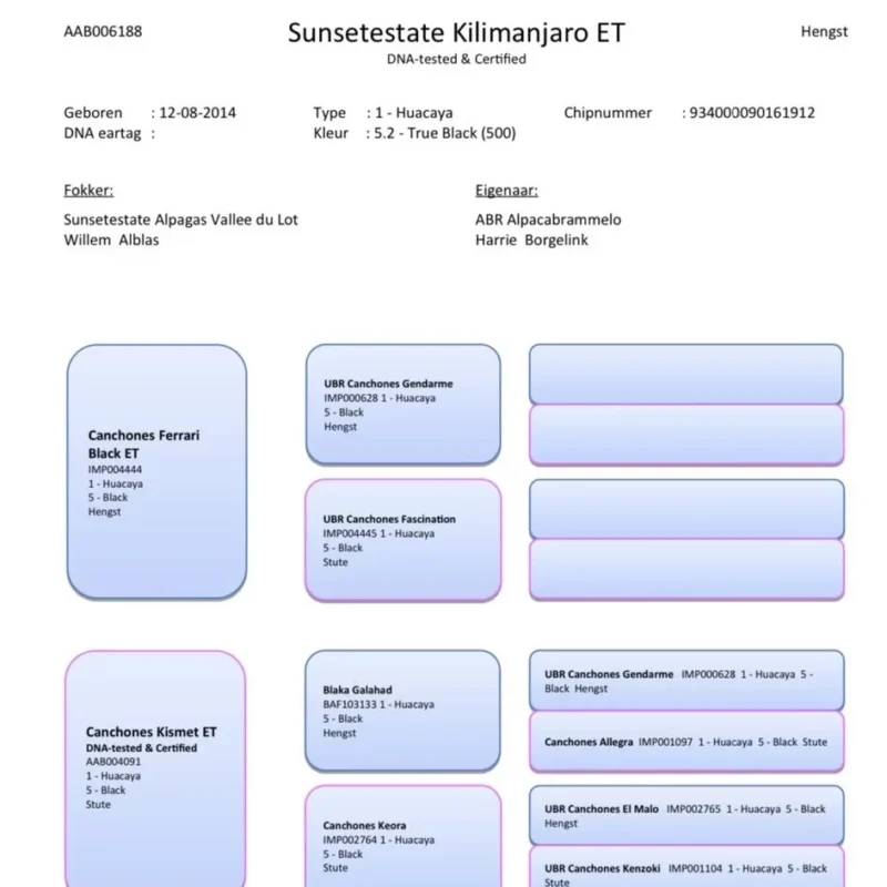 Sunsetestate Kilimanjaro 3