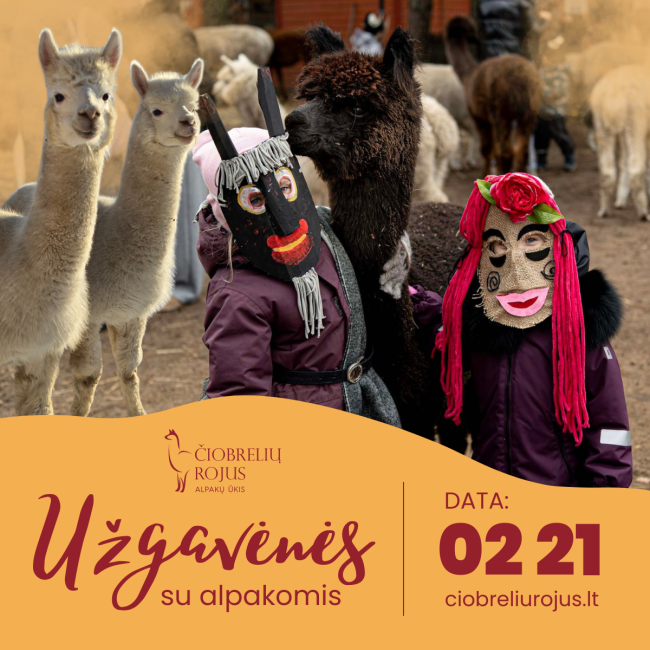 Užgavėnės alpaku ukyje