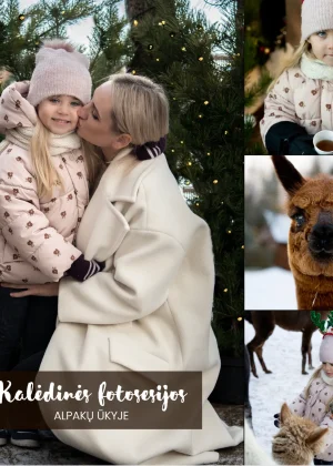 kaledines fotosesijos ciobreliurojus